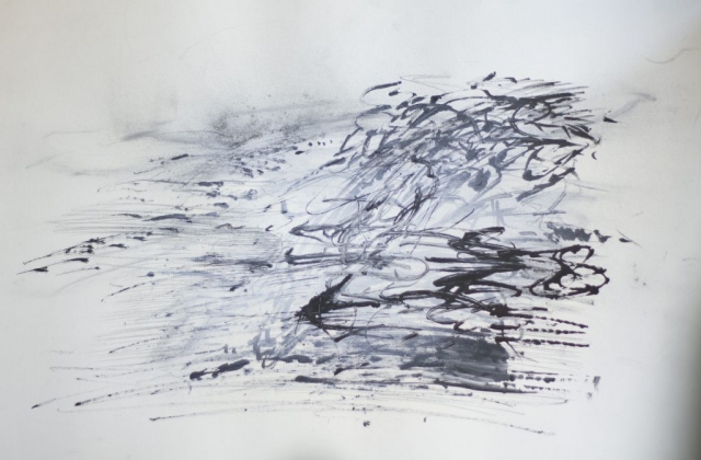 Transcripción de sonidos del desierto 3. 50cm x 70cm. Técnica: Grafito y tinta sobre papel.